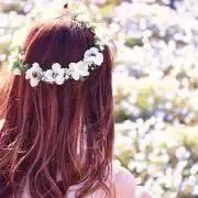 サクラ❤️サマーセール中の画像
