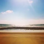 イエローの画像