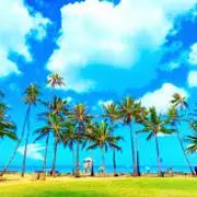 M.Kの画像