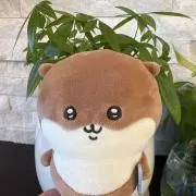 ぱぐさんの画像