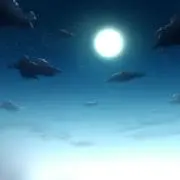 ninomaruの画像
