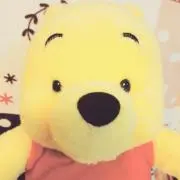 サクラの画像