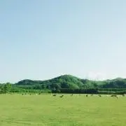 F_loma_の画像