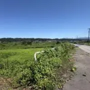 チッチ