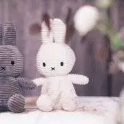 れ ンの画像