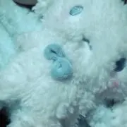 eruの画像