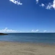 ほっきーの画像