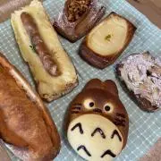 ととの画像
