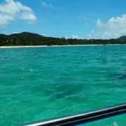 ミニトマト☆