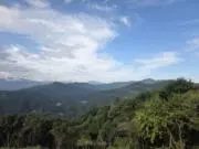 ビリーの画像