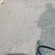 taiの画像