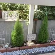Rk⭐︎の画像