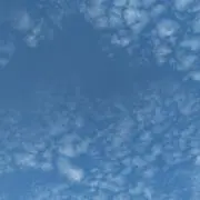 なおの画像