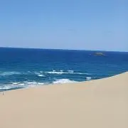 sakiの画像