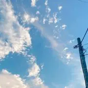 ヤマグチ