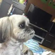 なおりん