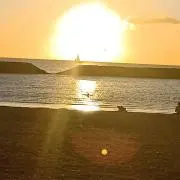 ぼぶりんの画像