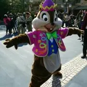 チップとデールの画像