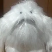 nekの画像