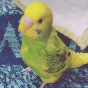 ママちゃん