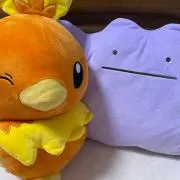 ちいの画像