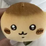 まめだいふくの画像