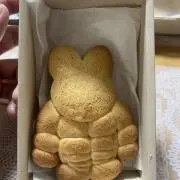 リスの画像