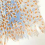 あーしゃの画像