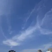 みつばの画像