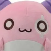チャモの画像