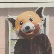 きょんの画像