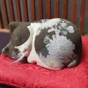 あんこの画像