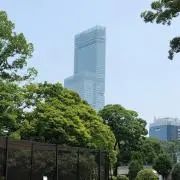 ruruの画像