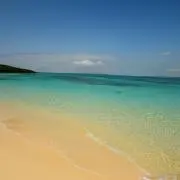 まっきー