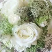 Noaの画像