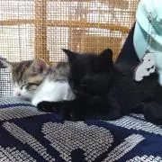 NO NAME