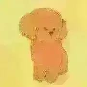 Kの画像