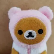 ニカルの画像