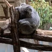 Takeの画像