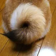 あかまるの画像