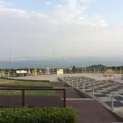 ざくろの画像