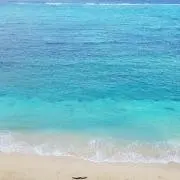 ちょこりん