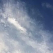 チョコボーンズ
