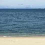ぽよの画像