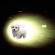 もんちっち
