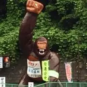 ぱんの画像