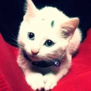 HIROの画像