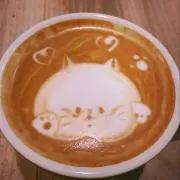 にゃーの画像