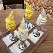 キクの画像