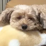 minの画像